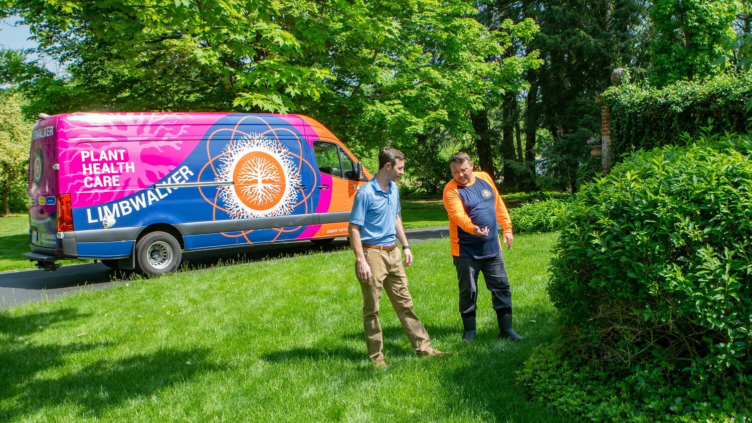 DIY Seeding Vs Hiring a Professional